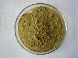 Sell Artichoke extract powder 